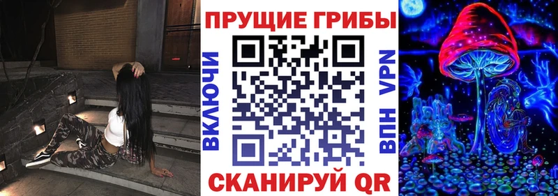 Псилоцибиновые грибы GOLDEN TEACHER Сухиничи